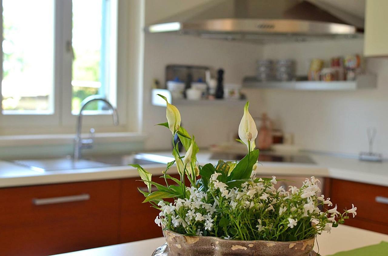 Holiday Home Sverko Novigrad Istria Exterior foto